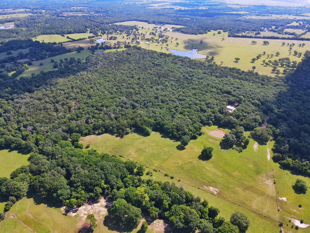 60 Acres Cr 1080, Fairfield, Texas image 3
