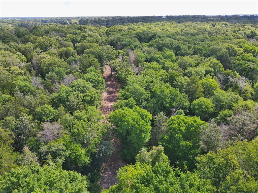 60 Acres Cr 1080, Fairfield, Texas image 20