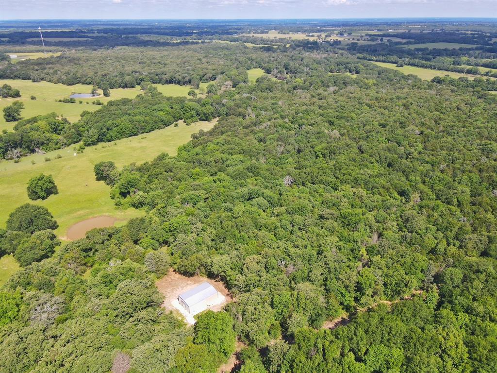 60 Acres Cr 1080, Fairfield, Texas image 25