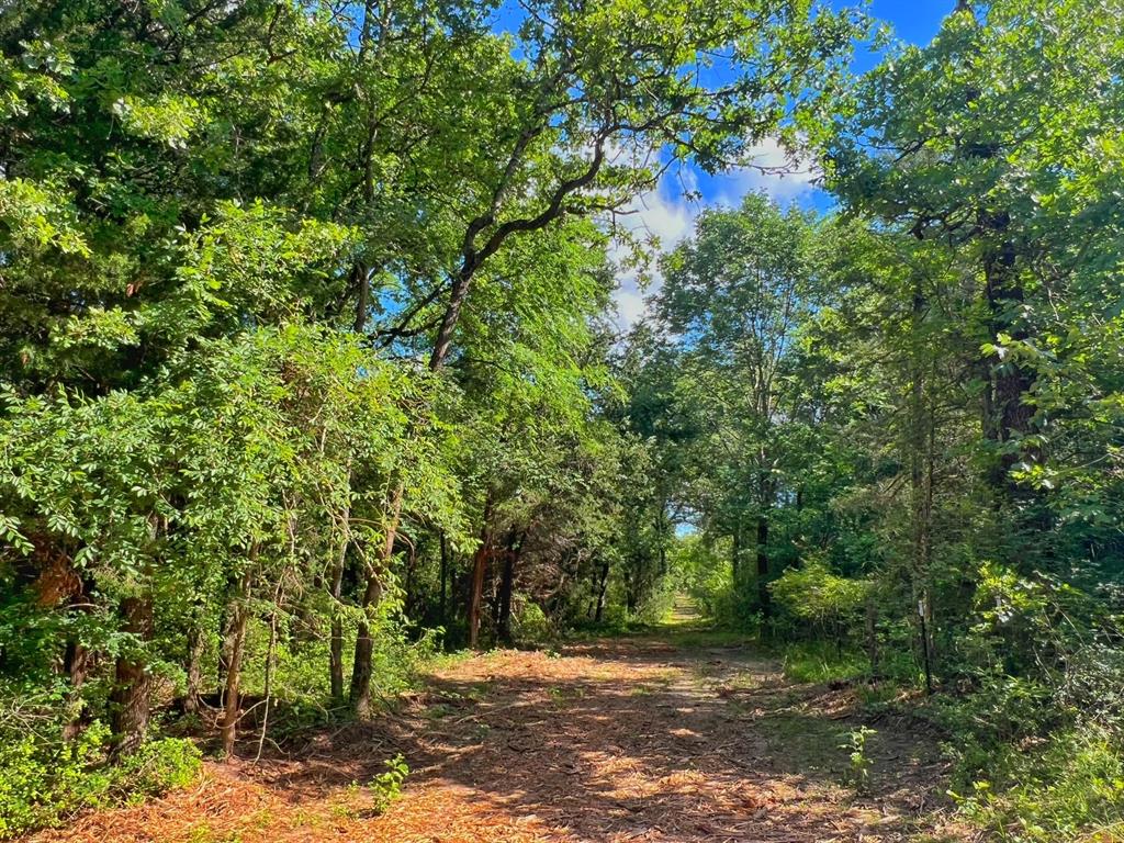 60 Acres Cr 1080, Fairfield, Texas image 32