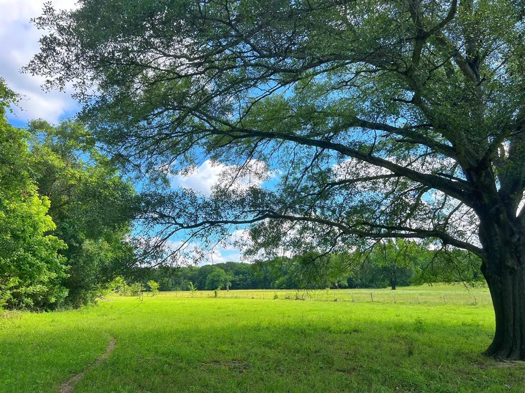 60 Acres Cr 1080, Fairfield, Texas image 24