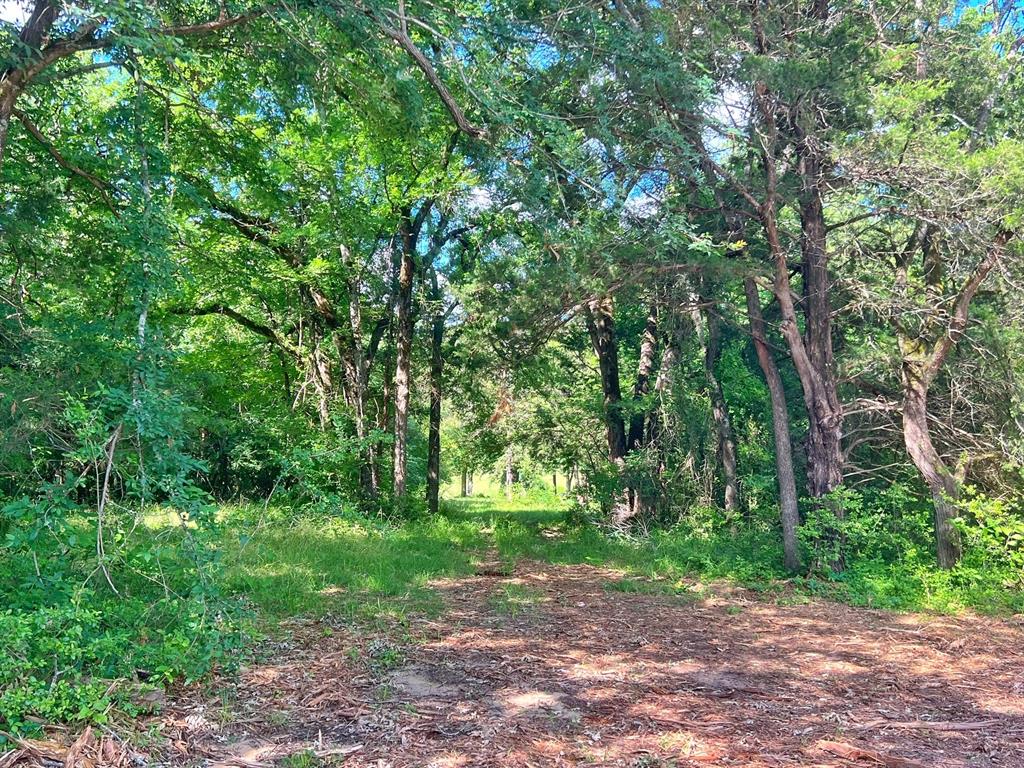 60 Acres Cr 1080, Fairfield, Texas image 27