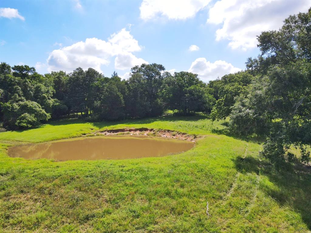 60 Acres Cr 1080, Fairfield, Texas image 11