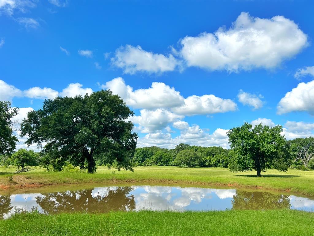 60 Acres Cr 1080, Fairfield, Texas image 30