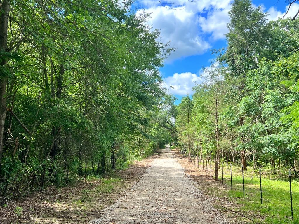 60 Acres Cr 1080, Fairfield, Texas image 26