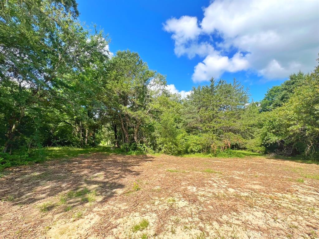 60 Acres Cr 1080, Fairfield, Texas image 12
