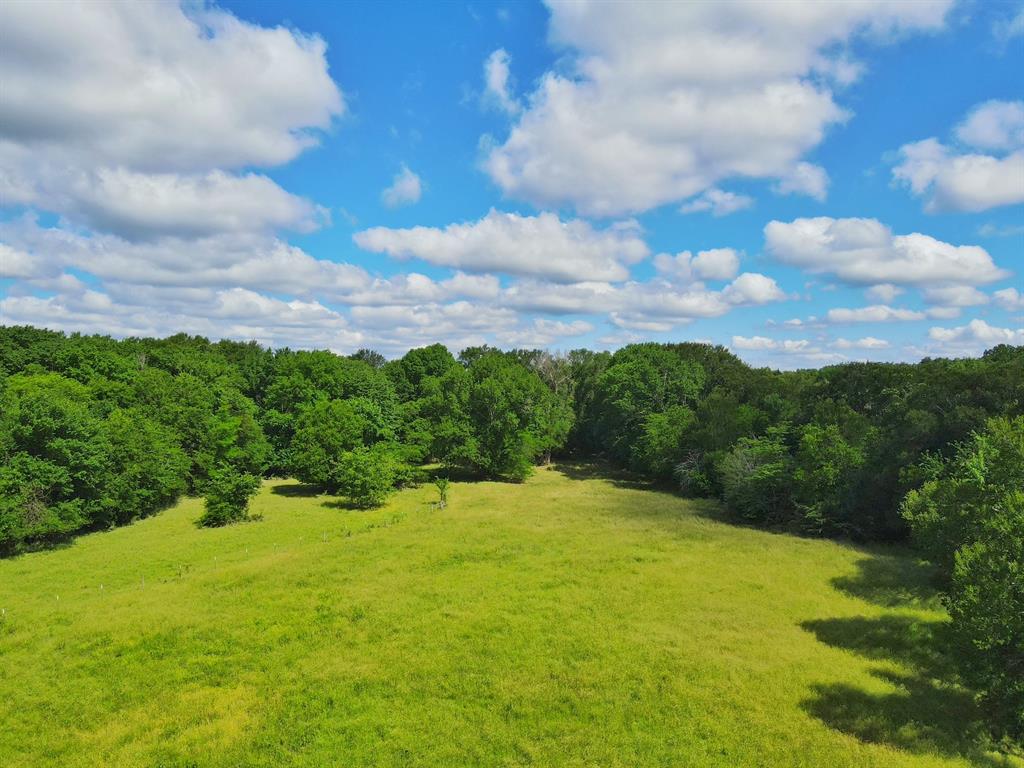 60 Acres Cr 1080, Fairfield, Texas image 16