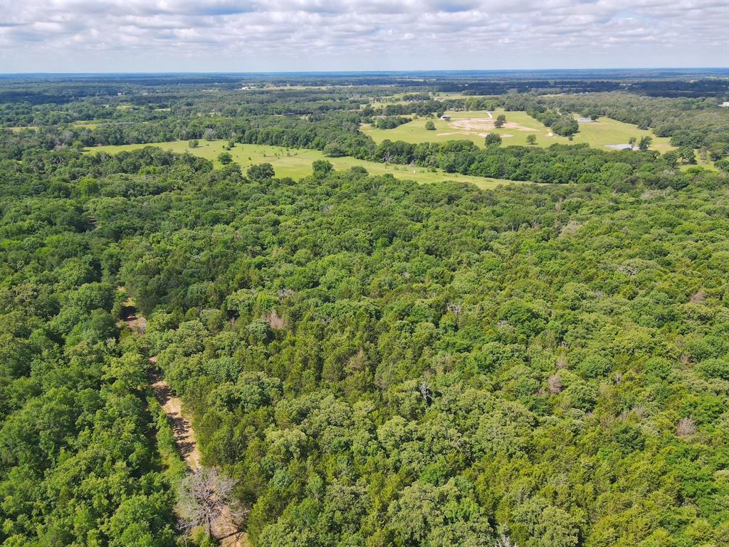 60 Acres Cr 1080, Fairfield, Texas image 23