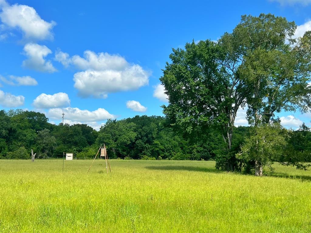 60 Acres Cr 1080, Fairfield, Texas image 17