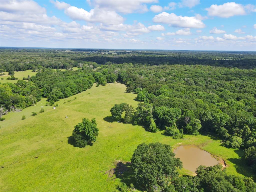 60 Acres Cr 1080, Fairfield, Texas image 7