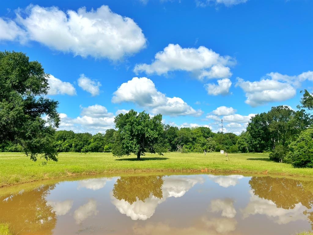 60 Acres Cr 1080, Fairfield, Texas image 2
