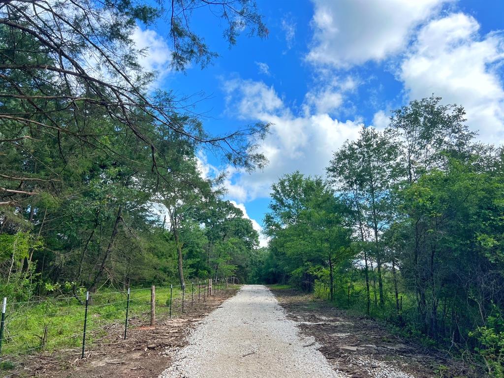 60 Acres Cr 1080, Fairfield, Texas image 19