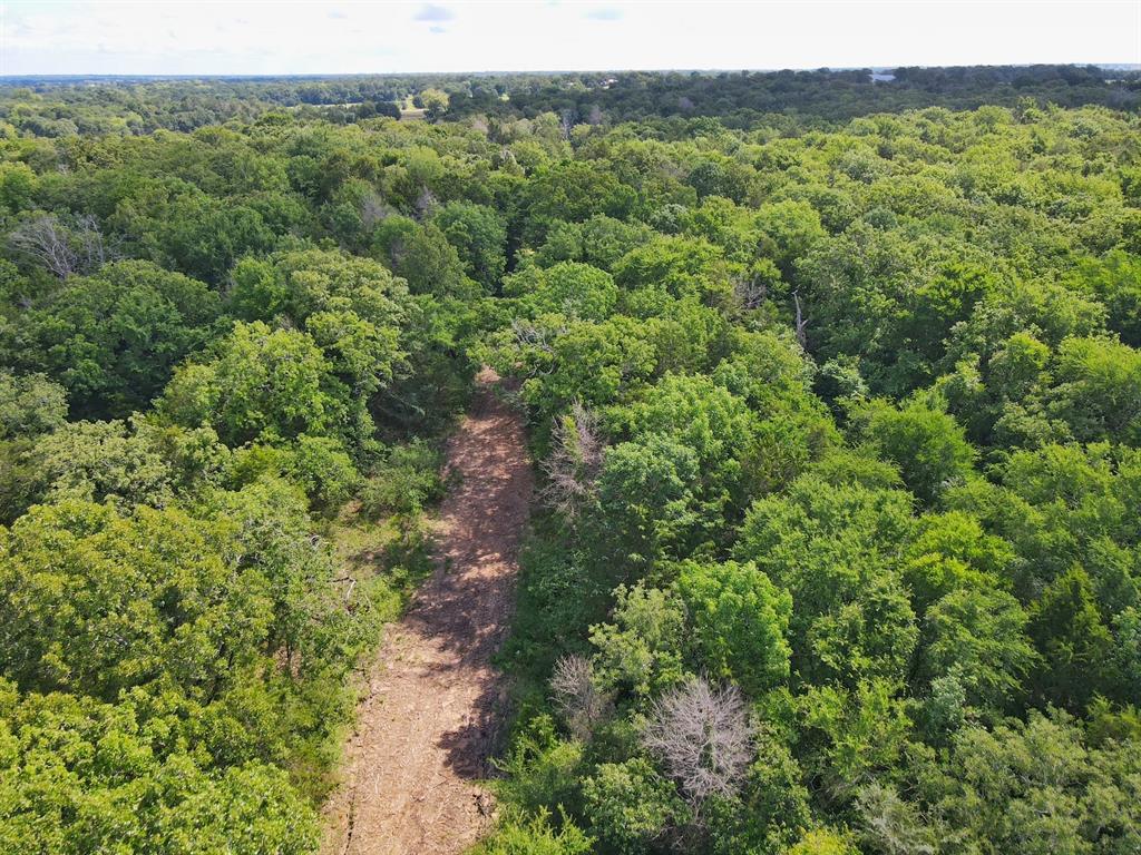 60 Acres Cr 1080, Fairfield, Texas image 22