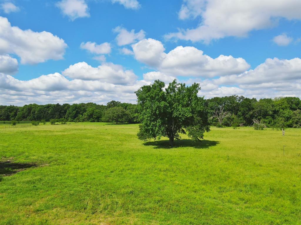 60 Acres Cr 1080, Fairfield, Texas image 13