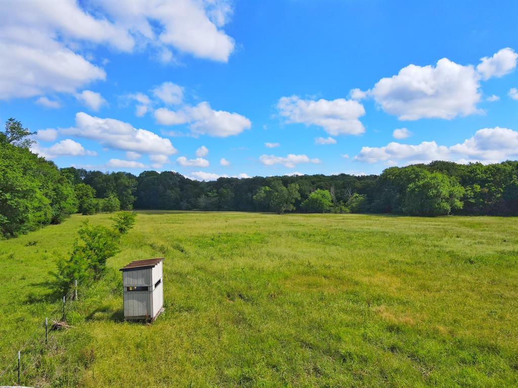 60 Acres Cr 1080, Fairfield, Texas image 14