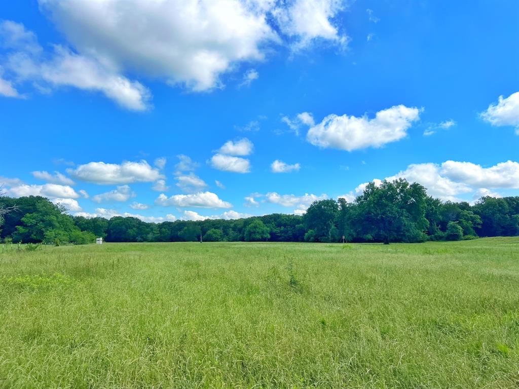 60 Acres Cr 1080, Fairfield, Texas image 8