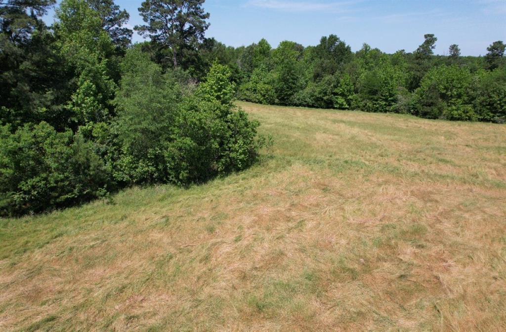 TBD Cr 432, Tenaha, Texas image 36