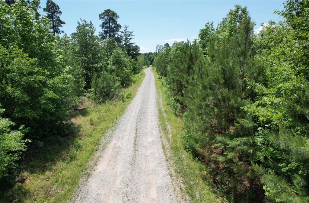 TBD Cr 432, Tenaha, Texas image 23