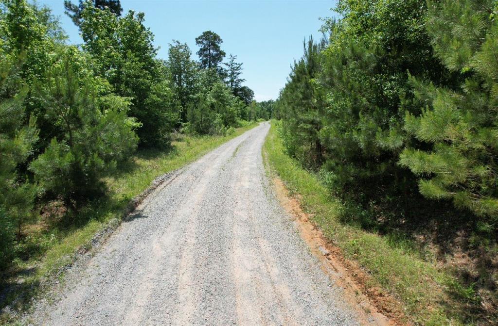 TBD Cr 432, Tenaha, Texas image 22