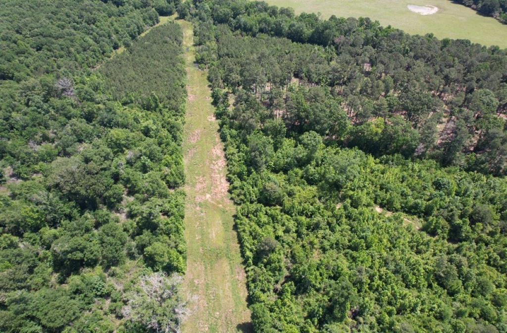 TBD Cr 432, Tenaha, Texas image 5