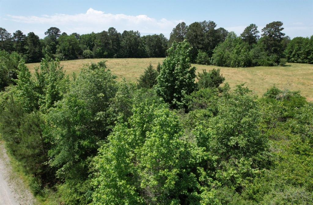 TBD Cr 432, Tenaha, Texas image 25