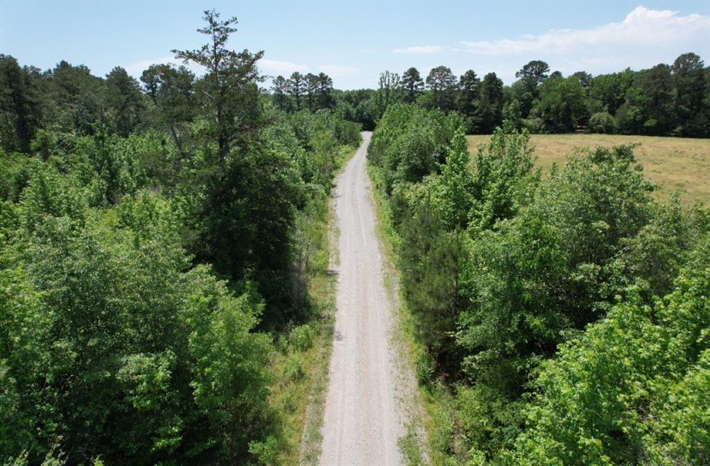 TBD Cr 432, Tenaha, Texas image 24