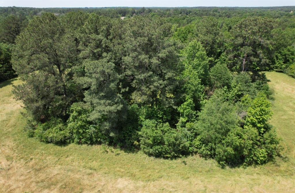 TBD Cr 432, Tenaha, Texas image 31