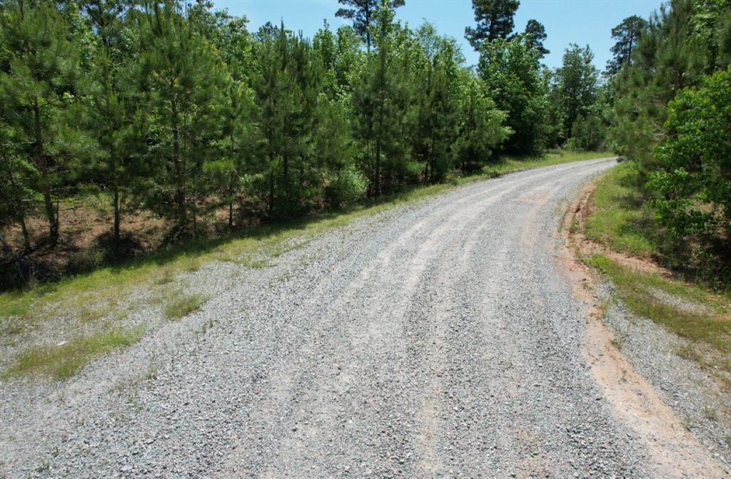 TBD Cr 432, Tenaha, Texas image 20