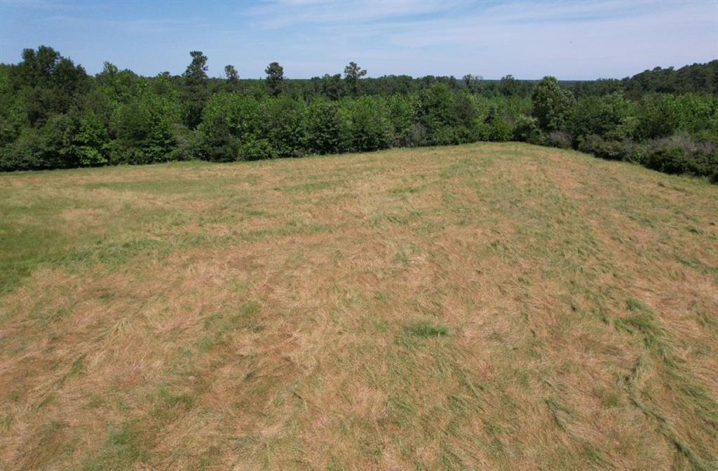 TBD Cr 432, Tenaha, Texas image 35