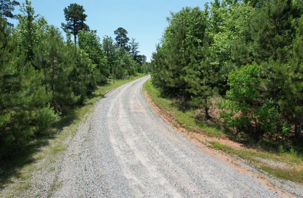 TBD Cr 432, Tenaha, Texas image 21