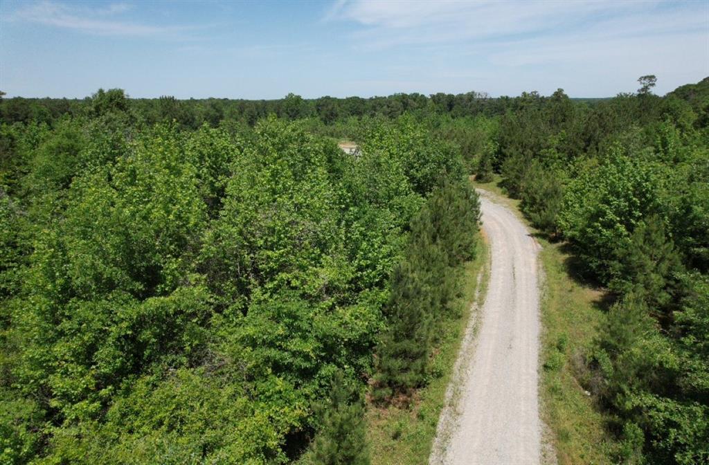 TBD Cr 432, Tenaha, Texas image 27