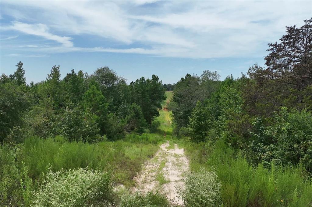 10024 County Road 207, Centerville, Texas image 42