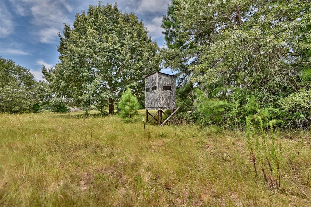 10024 County Road 207, Centerville, Texas image 36