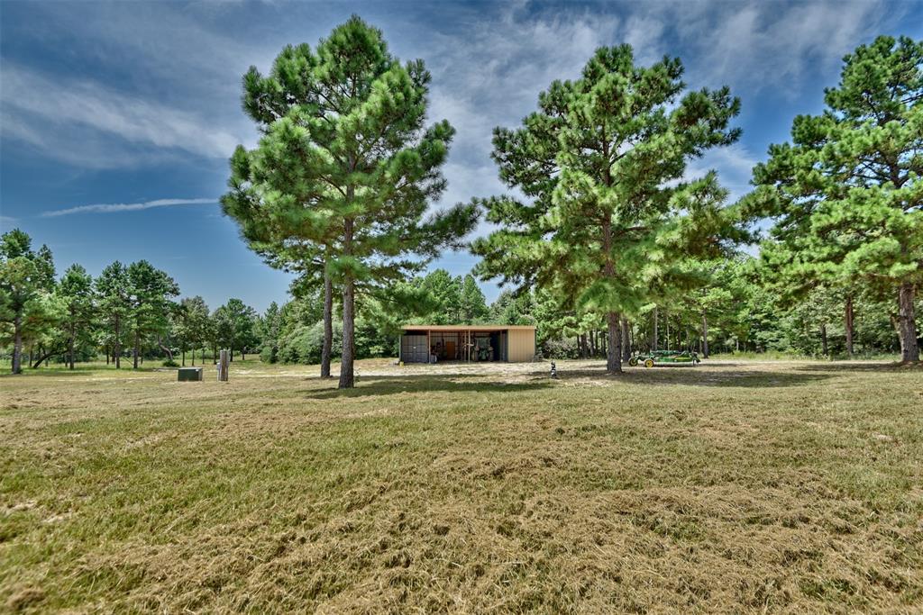 10024 County Road 207, Centerville, Texas image 29