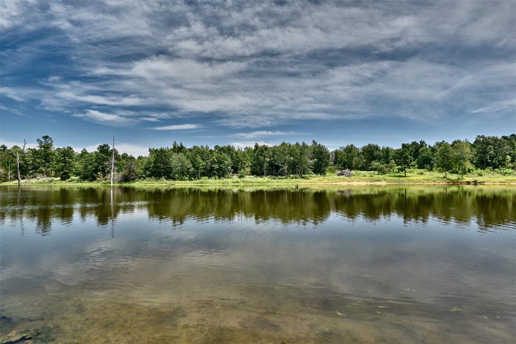 10024 County Road 207, Centerville, Texas image 32