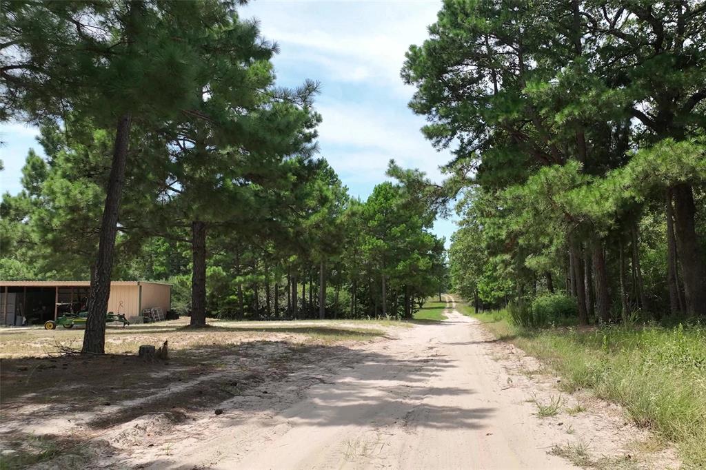 10024 County Road 207, Centerville, Texas image 30