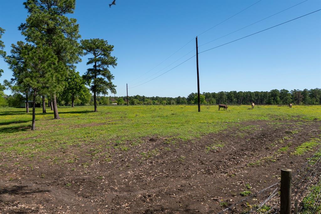 20277 Fm 1791, Richards, Texas image 31