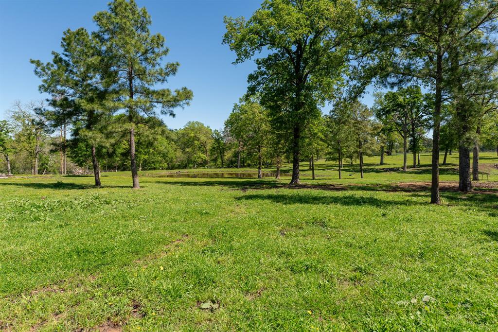 20277 Fm 1791, Richards, Texas image 32