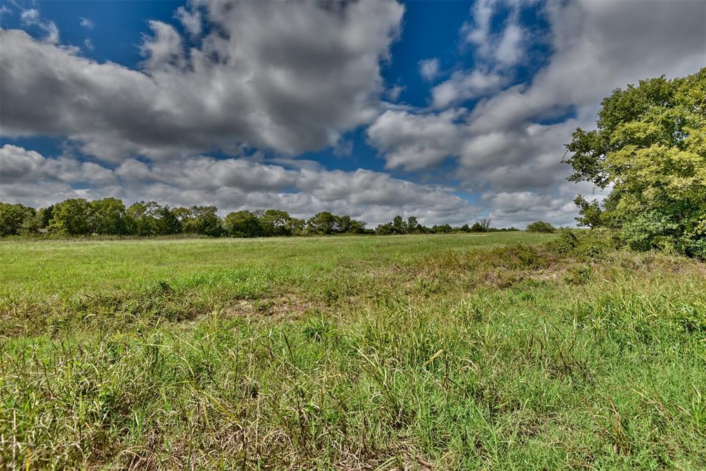 TBD Loop 497, Kenney, Texas image 8