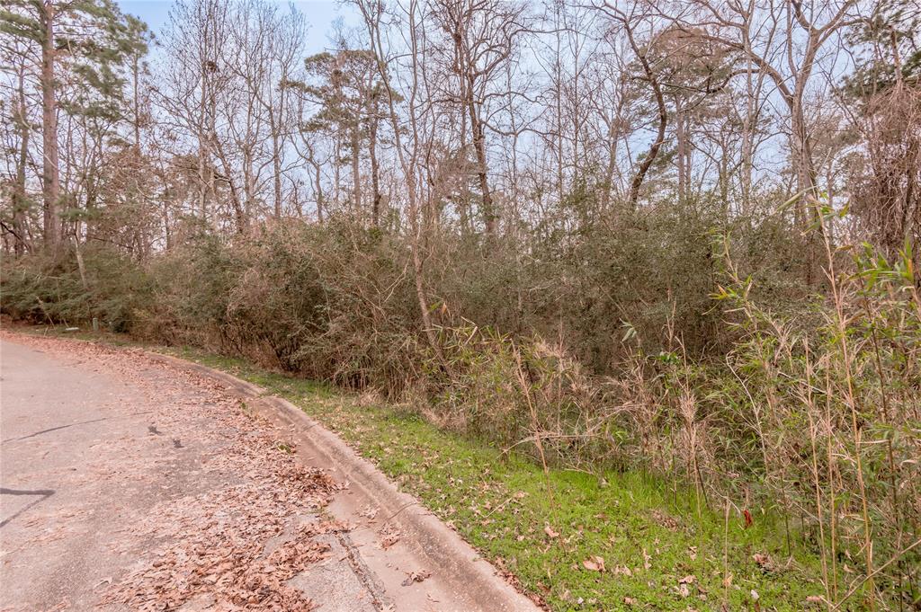 Lot 22 S Belair Drive, Huntsville, Texas image 17