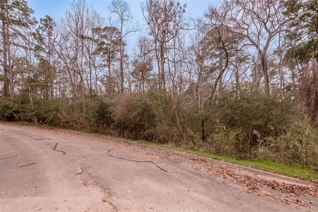 Lot 22 S Belair Drive, Huntsville, Texas image 3