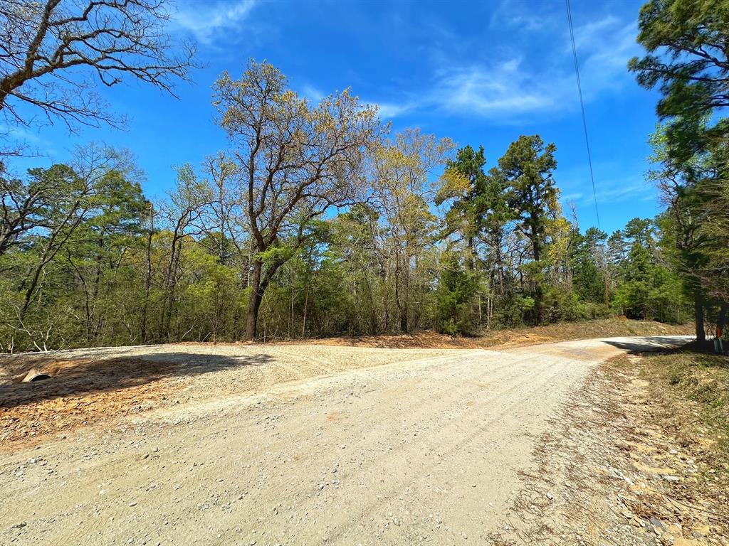 TBD Cr 292, Buffalo, Texas image 6