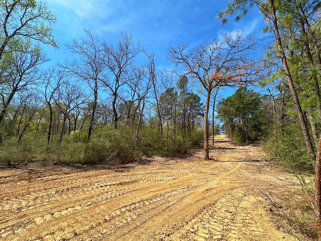 TBD Cr 292, Buffalo, Texas image 5