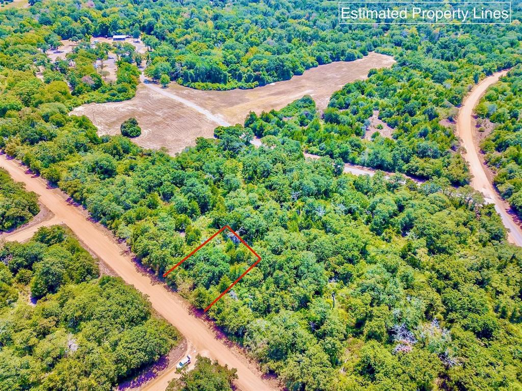 TBD Briar Patch Lane, Hilltop Lakes, Texas image 1