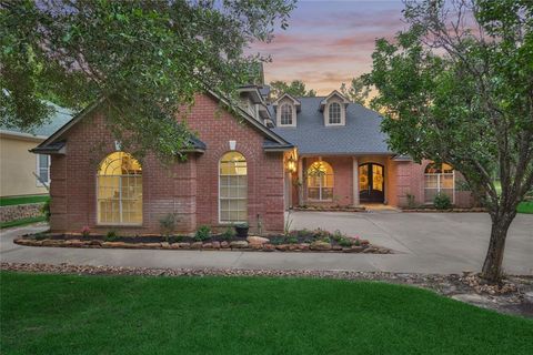 16 Waterberry Way Montgomery TX 77356