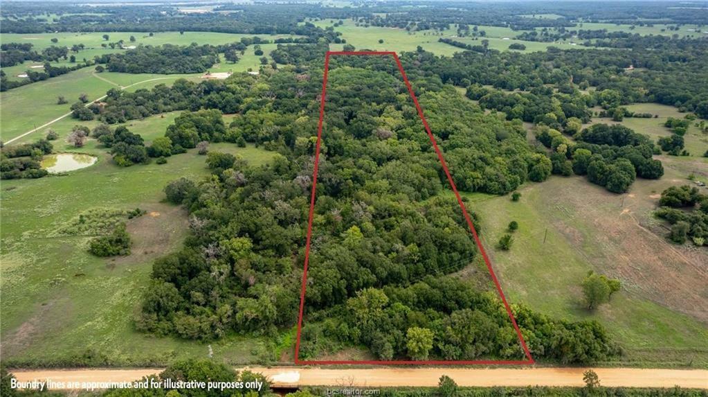 TBD (20 Acres) County Road 358, Gause, Texas image 5