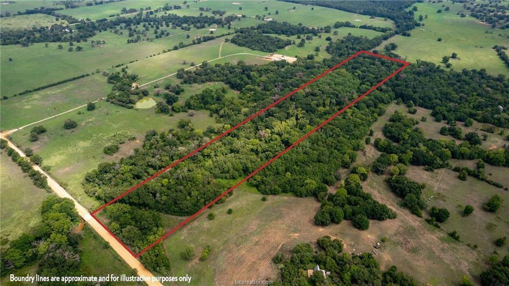 TBD (20 Acres) County Road 358, Gause, Texas image 3