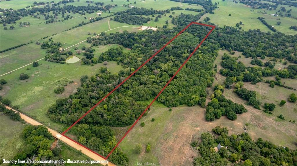 TBD (20 Acres) County Road 358, Gause, Texas image 2