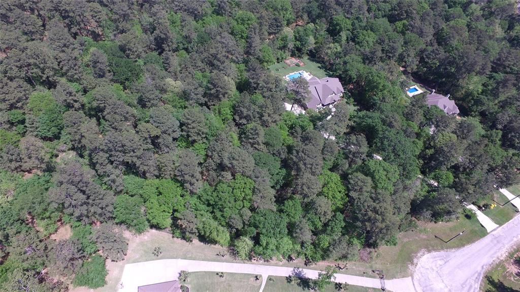 Single Shot Court, Huntsville, Texas image 7