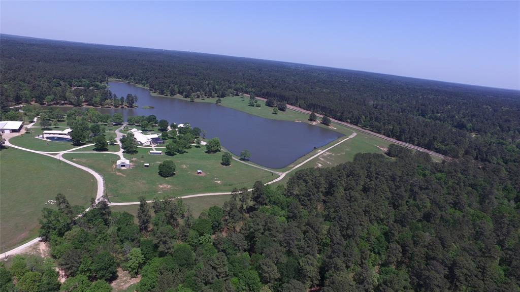 Single Shot Court, Huntsville, Texas image 4
